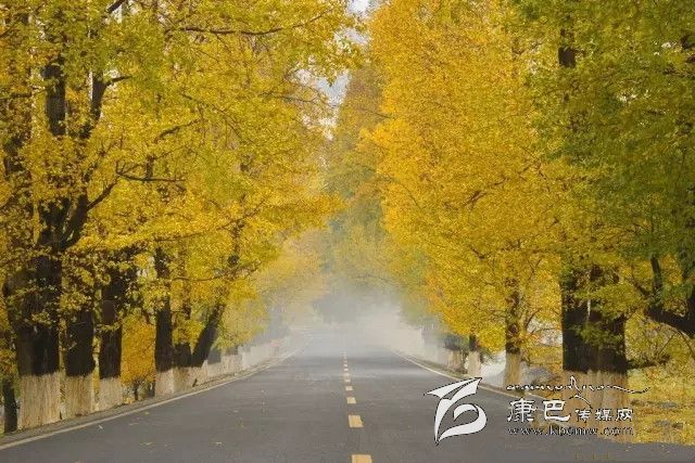 康定新都橋，有一條黃金大道通往夢中的天堂