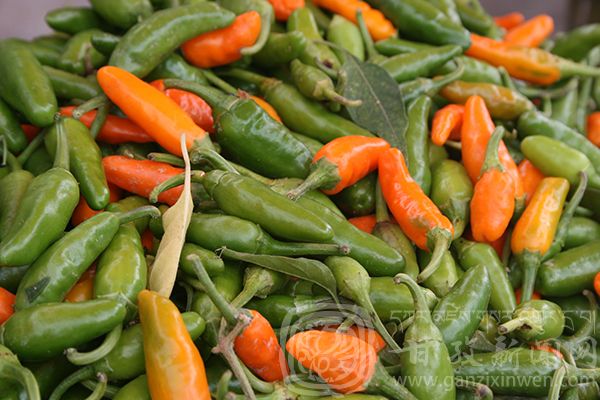 西部太陽谷 得榮原生態(tài)美食 西部太陽谷 得榮原生態(tài)美食