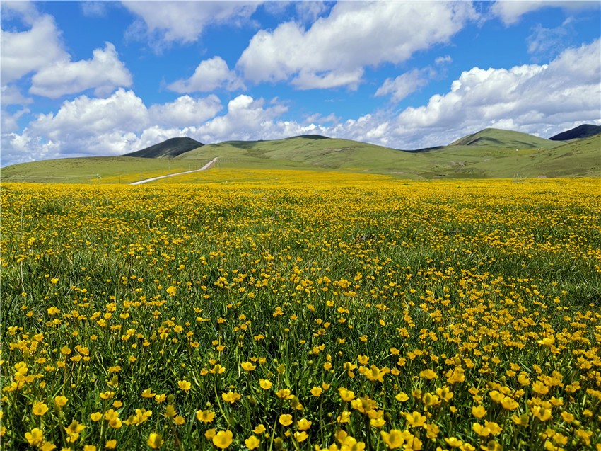 祝?；ê? 任剛.jpg