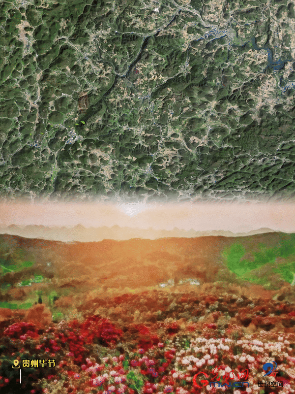 清明游玩賞花圖鑒來了！衛(wèi)星鏡頭帶你先睹為快